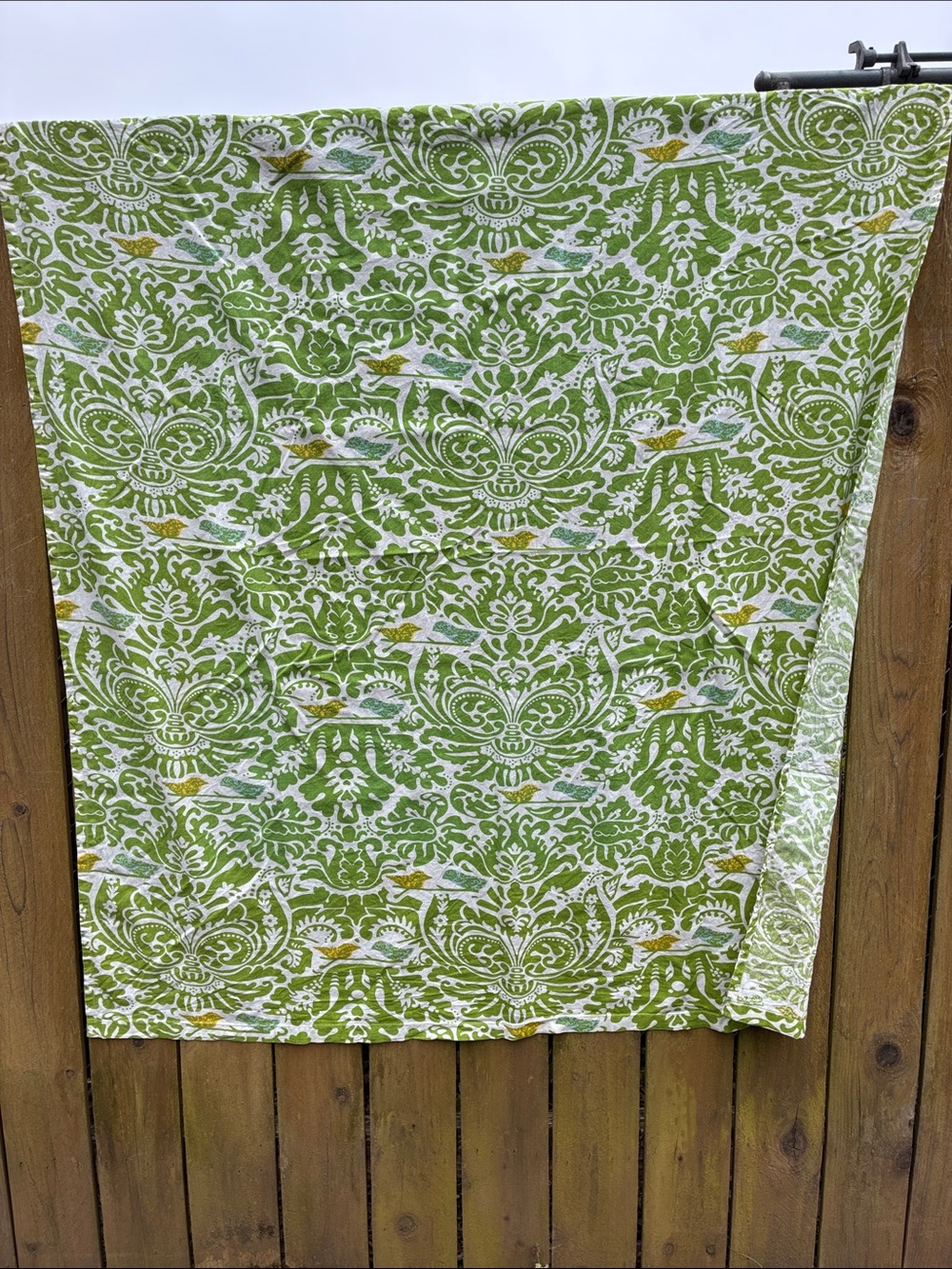 Green and white cotton curtain with birds on it. About 49 x 58 inch.  Fabric?